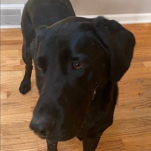 Meet your Posher, Eamonn